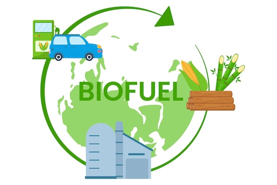 Cycle de production du Biofuel intégrant des ressources végétales, une usine de raffinage et un véhicule à la pompe sur une carte du monde.