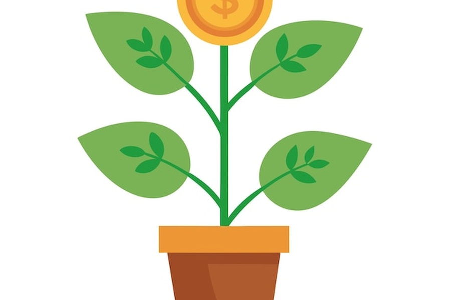 Une Money plant aux feuilles vertes vigoureuses surmontée d'une pièce d'or dans un pot en terre.