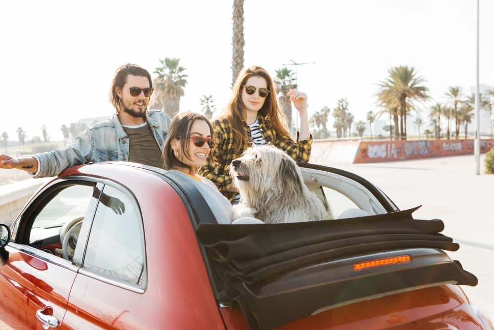 Trois amis et leur chien profitent d'une balade en voiture décapotable rouge sous le soleil de Marrakech.