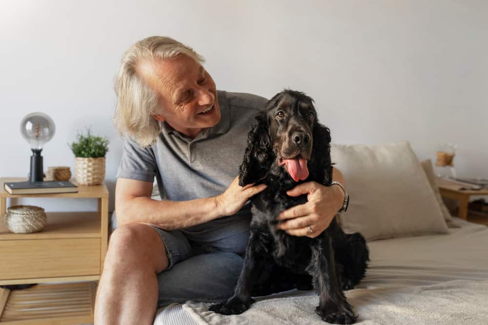 Un homme sénior sourit en caressant son vieux cocker spaniel noir sur un lit, une image idéale pour illustrer l'importance de l'assurance pour vieux chien.